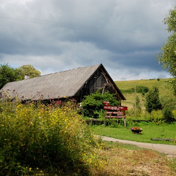 smolnik2016b Smolnik, 2016 (foto: P. Szechyński)