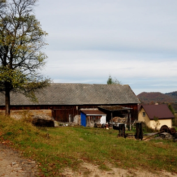 terka2013k Terka, 2013 (foto: P. Szechyński)