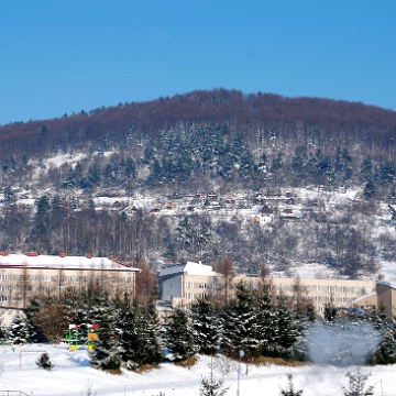 ud2010e Ustrzyki Dolne, zima 2010 (foto: P. Szechyński)