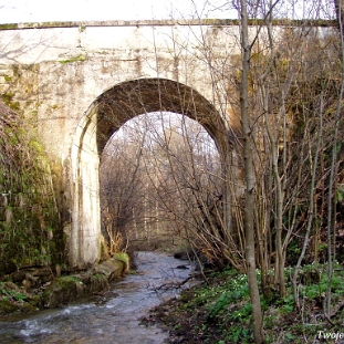 wmichowa2008a Wola Michowa, , dawny most kolejki wąskotorowej na starej trasie, 2008 (foto: P. Szechyński)