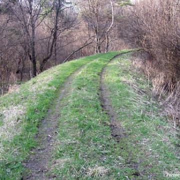 wmichowa2008b Wola Michowa, , dawny nasyp kolejki wąskotorowej na starej trasie, 2008 (foto: P. Szechyński)