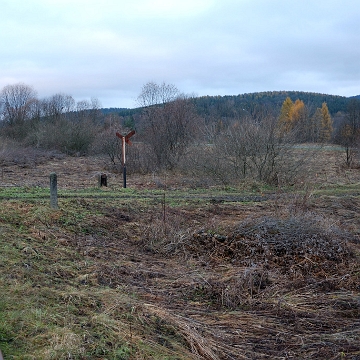 wmichowa2009z8 Wola Michowa, torowisko kolejki wąskotorowej, 2009 (foto: P. Szechyński)