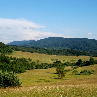 wmichowa2013d Wola Michowa, widok na dolinę Maniówki (foto: P. Szechyński)