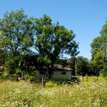 wmichowa2016b Wola Michowa, stacja kolejki wąskotorowej, 2016 (foto: P. Szechyński)