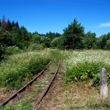 wmichowa2016c Wola Michowa, torowisko kolejki wąskotorowej, 2016 (foto: P. Szechyński)