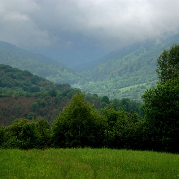 zatwarnica2020k Zatwarnica / Sękowiec, punkt widokowy przy drodze Sękowiec - Chmiel, 2020 (foto: P. Szechyński)