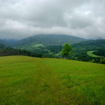 zatwarnica2020m Zatwarnica / Sękowiec, punkt widokowy przy drodze Sękowiec - Chmiel, 2020 (foto: P. Szechyński)