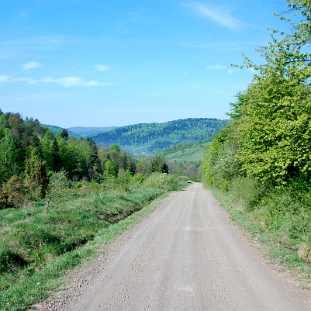 baligrod2009c Droga leśna do Baligrodu z przełęczy pod Markowską, wczesna wiosna 2009 (foto: P. Szechyński)