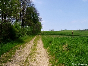 komancza2005l Komańcza, trasa ścieżki na wysokości cerkwi, 2005 (foto: P. Szechyński)