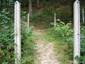 komancza2007i Komańcza, cmentarz z I wojny w Letnisku, 2007 (foto: P. Szechyński)