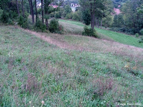 komancza2007j Komańcza, cmentarz z I wojny na przeciwko stacji, 2007 (foto: P. Szechyński)