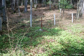 komancza2010d Komańcza, cmentarz z I wojny w Letnisku, 2010 (foto: P. Szechyński)