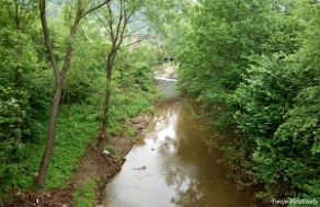 komancza2010h Komańcza, Osławica na wysokości kamieniołomu, 2010 (foto: P. Szechyński)