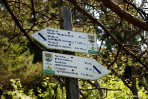 komancza2019d Komańcza, ścieżka przyrodniczo-historyczna, 2019 (foto: P. Szechyński)