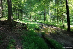 komancza2019e Komańcza, ścieżka przyrodniczo-historyczna, 2019 (foto: P. Szechyński)