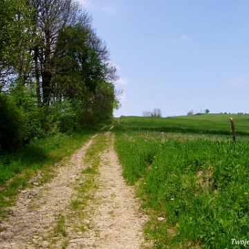 komancza2005l Komańcza, trasa ścieżki na wysokości cerkwi, 2005 (foto: P. Szechyński)