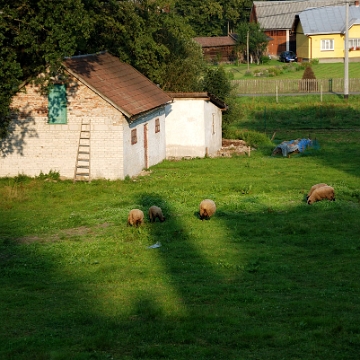 komancza2012p Komańcza, 2012 (foto: P. Szechyński)