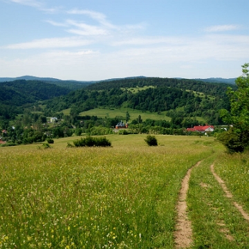 komancza2019c Komańcza, widok ze ścieżki przyrodniczo-historycznej, na wprost cerkiew prawosławna i szkoła, 2019 (foto: P. Szechyński)