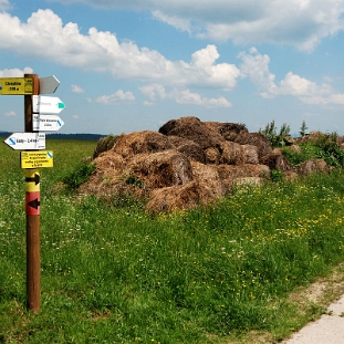 lutowiska2019o Lutowiska, trasa ścieżki wokół Lutowisk, miejsce gdzie dawniej była filmowa stanica Chreptiów, 2019 (foto: P. Szechyński)