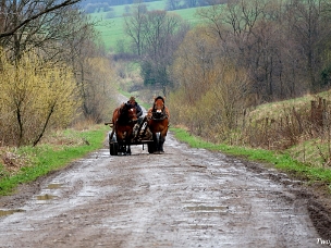 Kalnica k.Baligrodu niewielka wieś pomiędzy Turzańskiem a Kiełczawą, której administratorem i dzierżawcą był swojego czasu Wincenty Pol