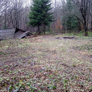 zebrak2008b Przełęcz Żebrak, stara wiata turystyczna, wiosna 2008 (foto: P. Szechyński)