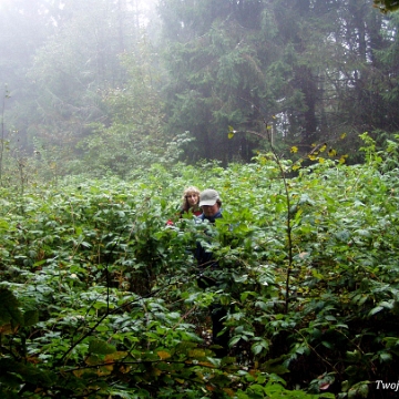 kinczyk2005d Pod Piniaszkowym, 2005 (foto: P. Szechyński)