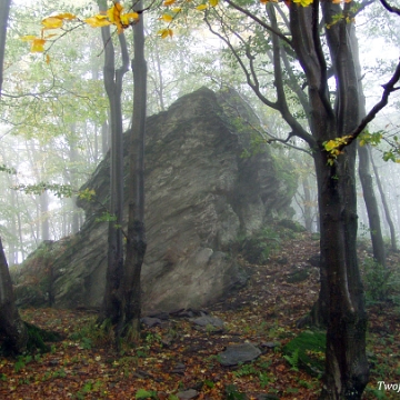 kinczyk2005m Skała Dobosza pod Opołonkiem, 2005 (foto: P. Szechyński)