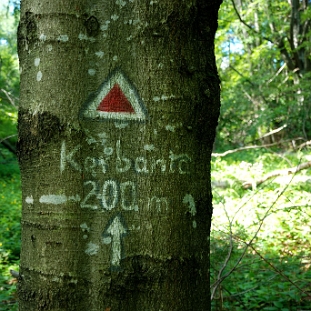 korbania-2010a Korbania, ścieżka od strony Bukowca, 2010 (foto: P. Szechyński)