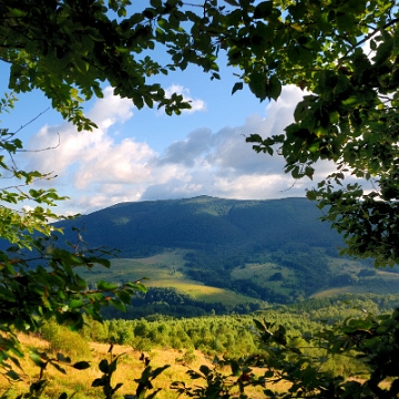 carynska2010f Połonina Caryńska, widok ze szlaku na Rawki (foto: P. Szechyński)