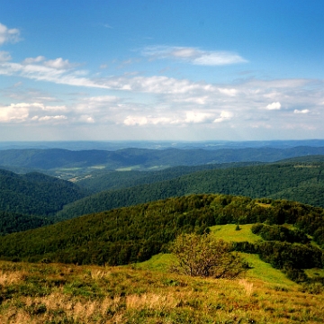 wetlinska2012c Połonina Wetlińska, widok w kierunku północnym, m.in. Dwernik-Kamień i Otryt (foto: P. Szechyński)