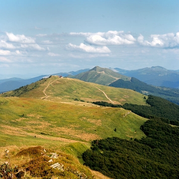 wetlinska2012h Połonina Wetlińska z Osadzkiego, w tle Caryńska i Tarnica (foto: P. Szechyński)