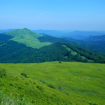 wetlinska2019j Połonina Wetlińska, Smerek z Osadzkiego Wierchu (foto: P. Szechyński)