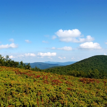 riaba2012f Czaszczowata czyli Riaba a wcześniej Rabia Skała, 1199 m n.p.m. (foto: P. Szechyński)