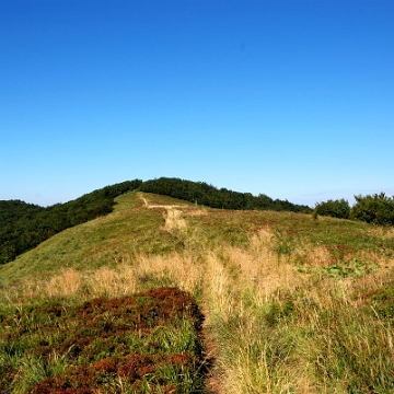 riaba2012g Czaszczowata czyli Riaba a wcześniej Rabia Skała, 1199 m n.p.m. (foto: P. Szechyński)