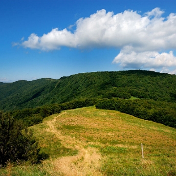 riaba2012p Riaba Skała, od strony Przełęczy pod Czerteżem (foto: P. Szechyński)