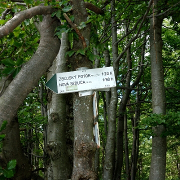 riaba2012u Czerteż, szlak na stronę słowacką (foto: P. Szechyński)