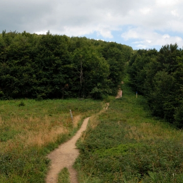 riaba2012z9 Krzemieniec, szlak w stronę Wielkiej Rawki (foto: P. Szechyński)