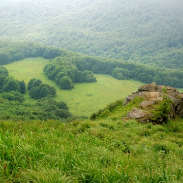 halicz2010f Halicz, między Haliczem a Tarnicą (foto: P. Szechyński)