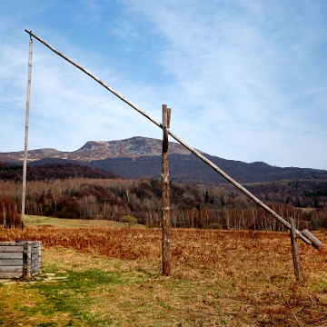 halicz2014u Tarnica, żuraw w Wołosatem, wiosna 2014 (foto: P. Szechyński)