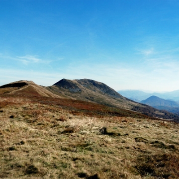 szeroko2013n Tarnica (foto: P. Szechyński)