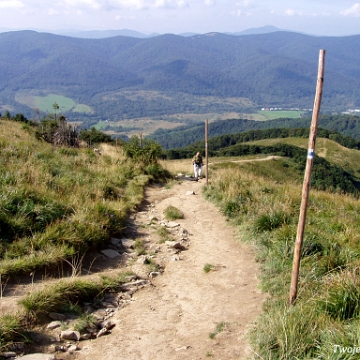 tarnica2007d Tarnica, szlak z Wołosatego w roku 2007 (foto: P. Szechyński)