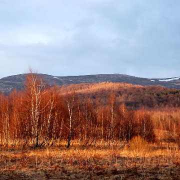 tarnica2011b Szeroki Wierch, szlak z Wołosatego na Tarnicę (foto: P. Szechyński)