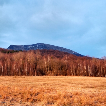 tarnica2011c Tarnica (foto: P. Szechyński)