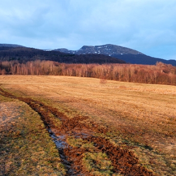 tarnica2011d Tarnica, szlak z Wołosatego (foto: P. Szechyński)