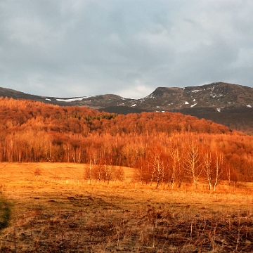 tarnica2011e Tarnica, szlak z Wołosatego (foto: P. Szechyński)