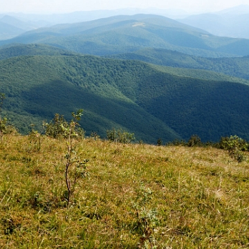 rawki2012f Wielka Rawka, widok na stronę ukraińską (foto: P. Szechyński)