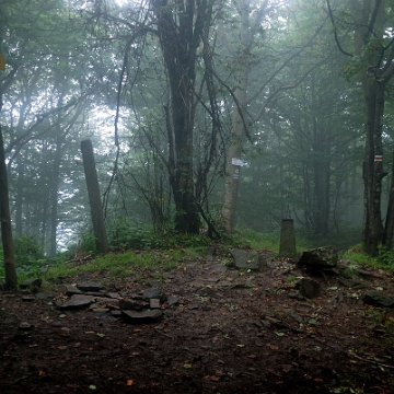 wolos2018a Wołosań, szczyt (foto: P. Szechyński)