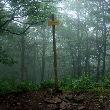 wolos2018d Wołosań, szczyt (foto: P. Szechyński)