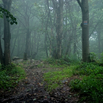 wolos2018f Wołosań, szczyt (foto: P. Szechyński)