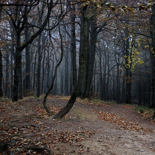 chrysz2013c Chryszczata jesienią (foto: P. Szechyński